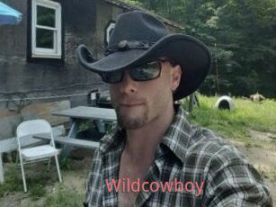 Wildcowboy