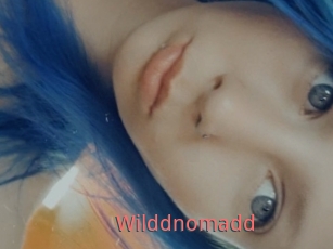 Wilddnomadd