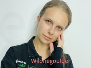 Wilonegoulder