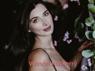 Wonderfulcherry