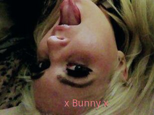 _x_Bunny_x_