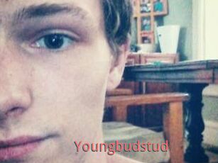 Youngbudstud