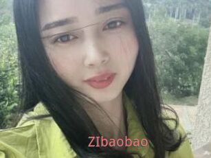 ZIbaobao