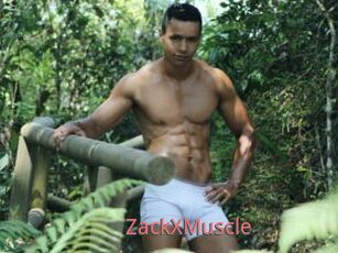 ZackXMuscle