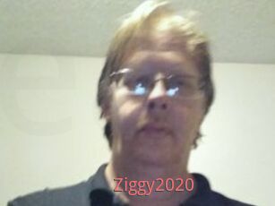 Ziggy2020