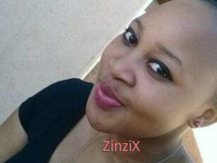 ZinziX