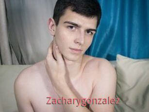 Zacharygonzalez