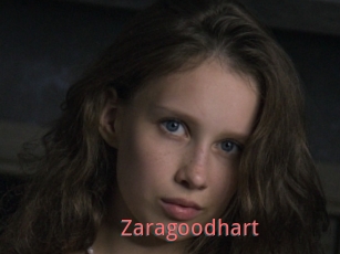 Zaragoodhart