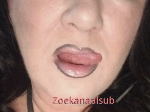 Zoekanaalsub