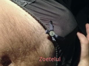 Zoetelul